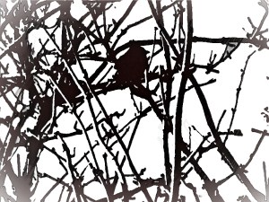 In the bleak mid winter