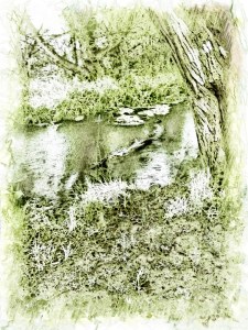 By the Water, frosty